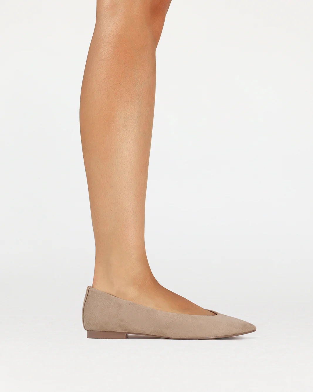 EVERETT - DUNE SUEDE - Image 3