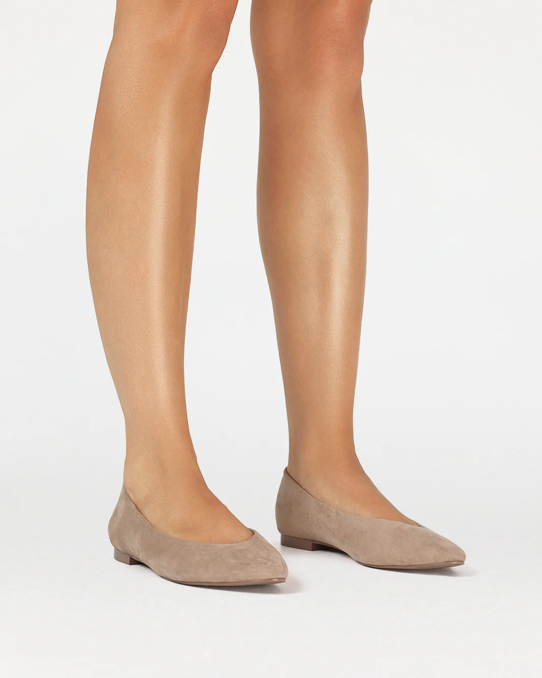 EVERETT - DUNE SUEDE - Image 4